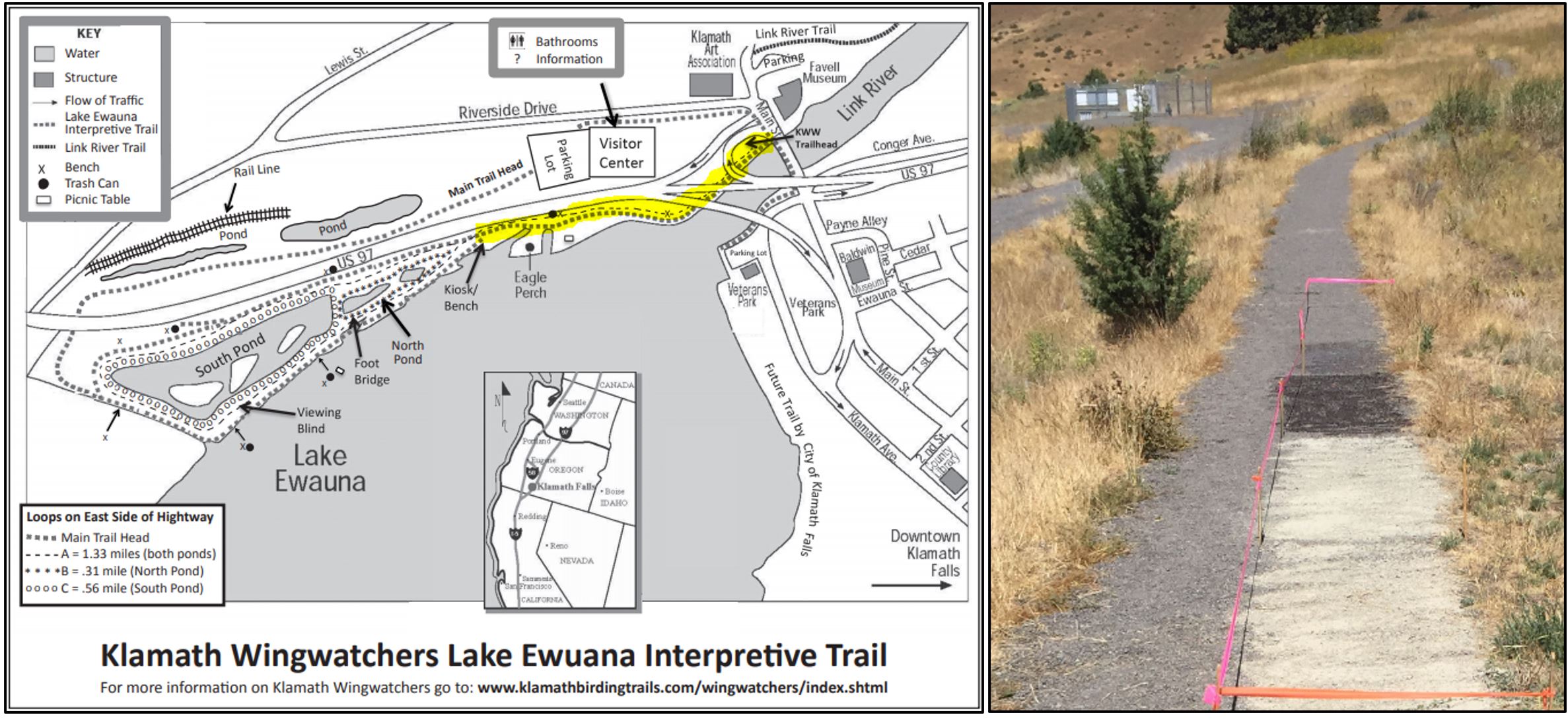Applying a Mt. Mazama Volcanic Ash Treatment as a Trail Accessibility ImprovementPhoto